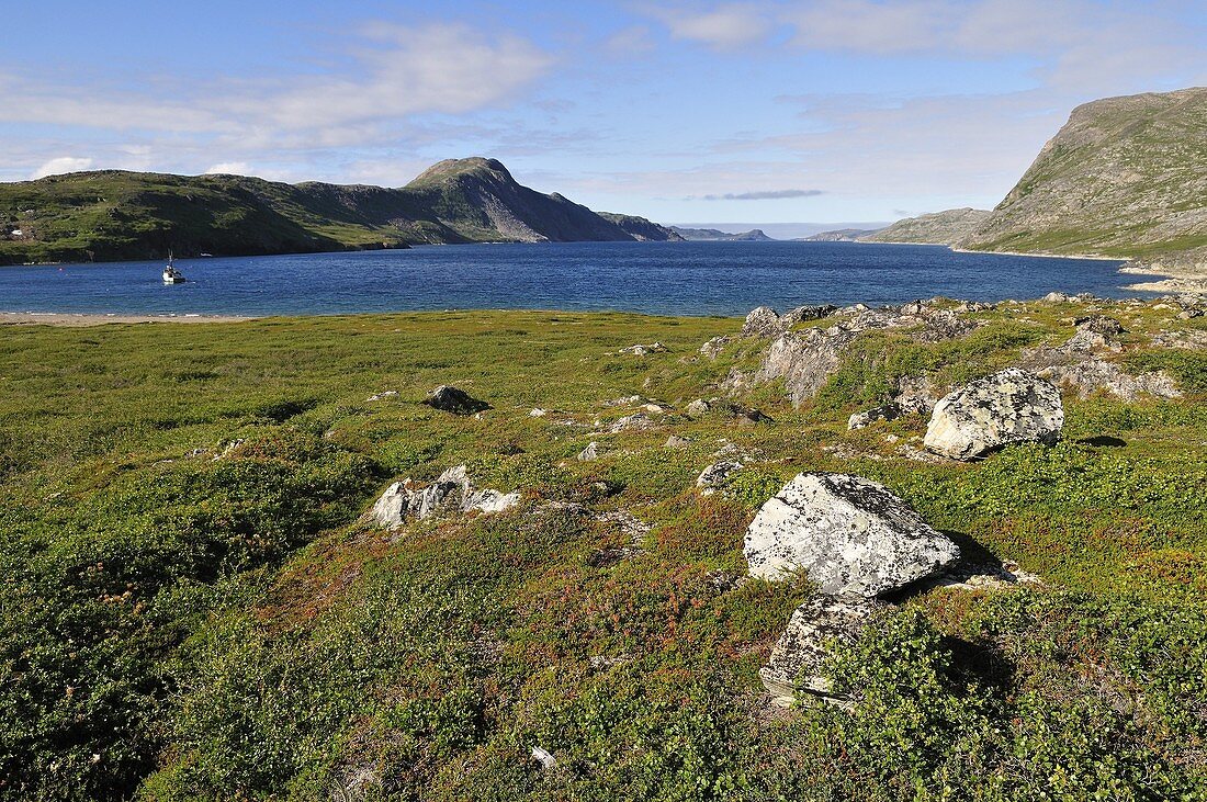 tundra at a bay of Saglek Fjord, Torngat Mountains National Park, Newfoundland and Labrador, Canada