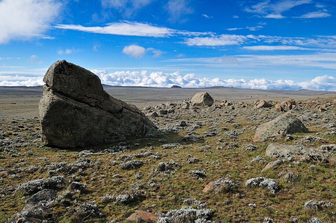 afromontane landscape on Sanetti Plateau, Bale Mountains National Park, Oromia, Ethiopia, Africa