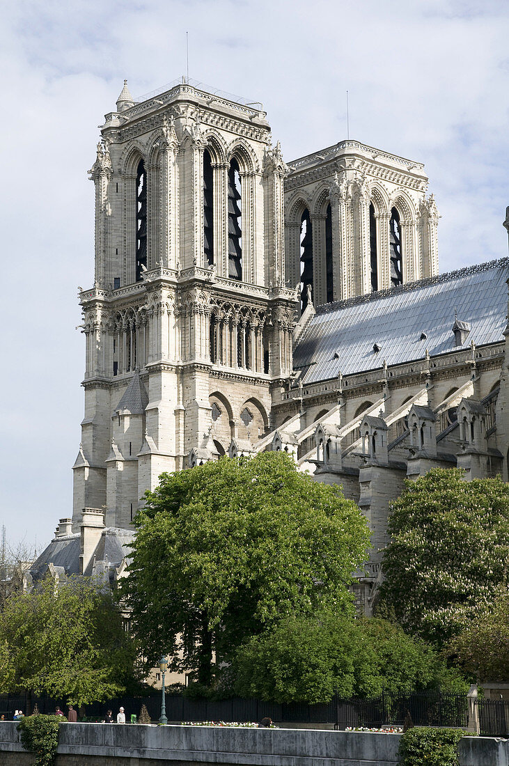 France, Paris 75  Towers of Notre Dame cathedral