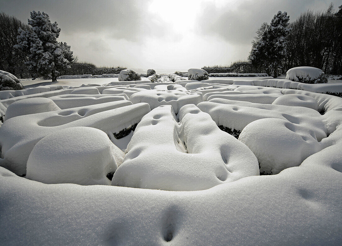 Park in winter, Mogilany, Poland