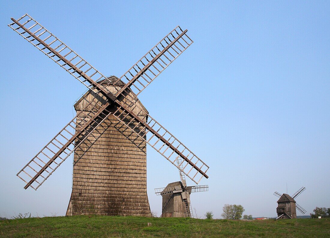 Old Wooden Windmills, Moraczewo, Cednicki Park, Wielkopolska, Poland