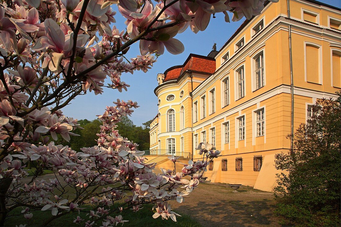 Rogalin Palace at spring, Wielkopolska, Poland