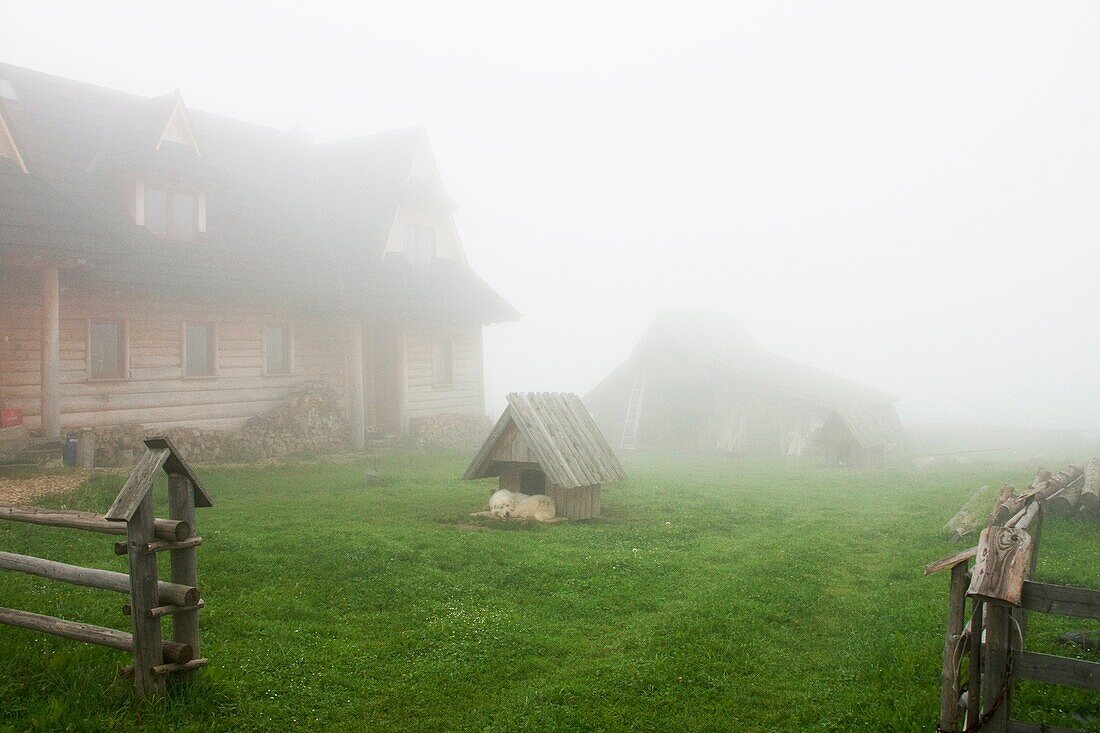 Foggy morning, Podhale, Poland