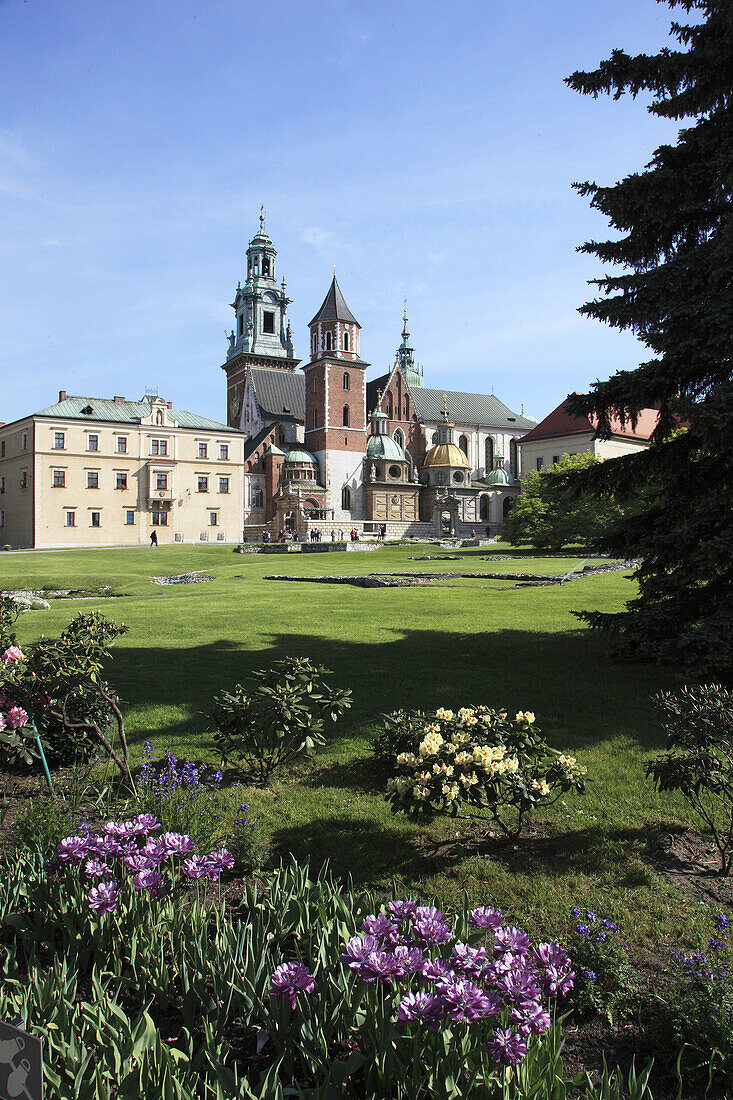 Poland, Krakow, Wawel Cathedral