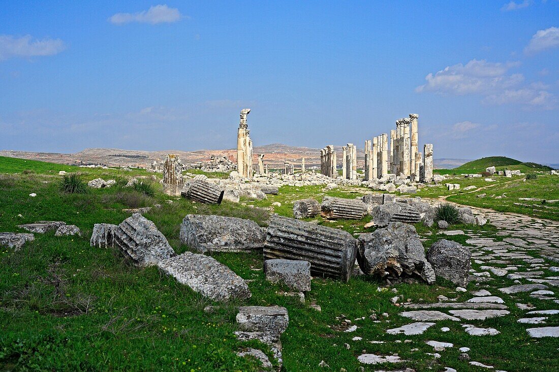 Roman city Apamea, Syria