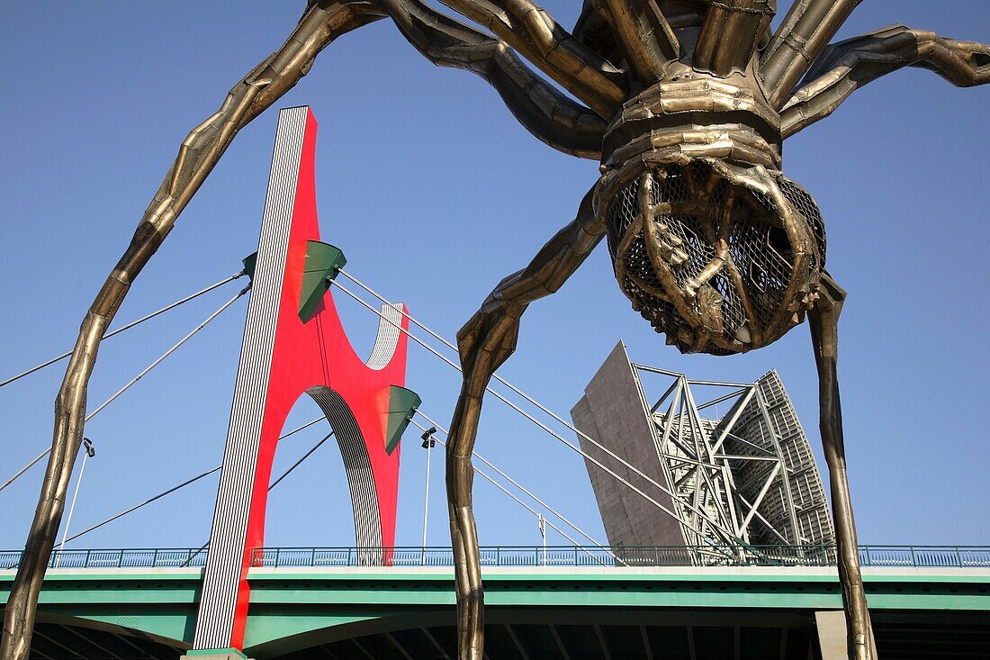 Puente de la Salve Bridge by Buren and Spider Sculpture by Bourgeois, Bilbao, Basque Country, Spain