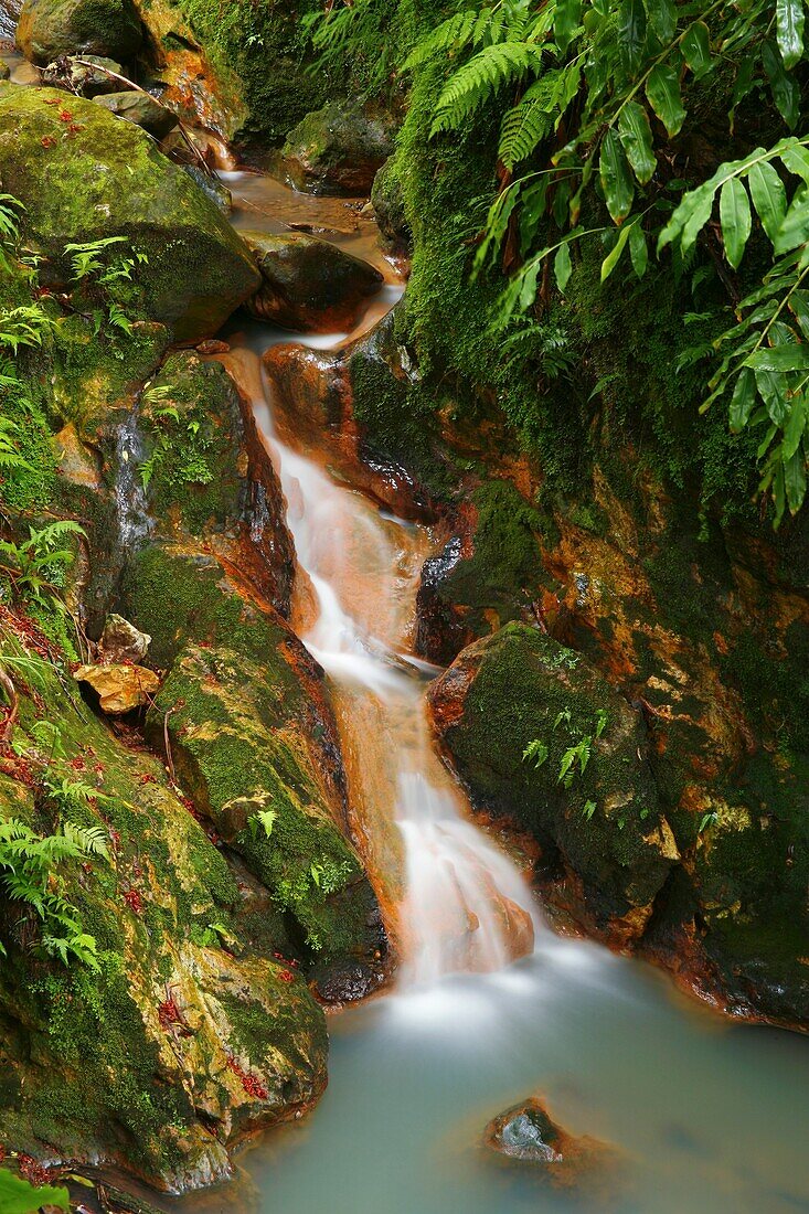 Stream of iron waters in Caldeira Velha park  Sao Miguel island, Azores islands, Portugal