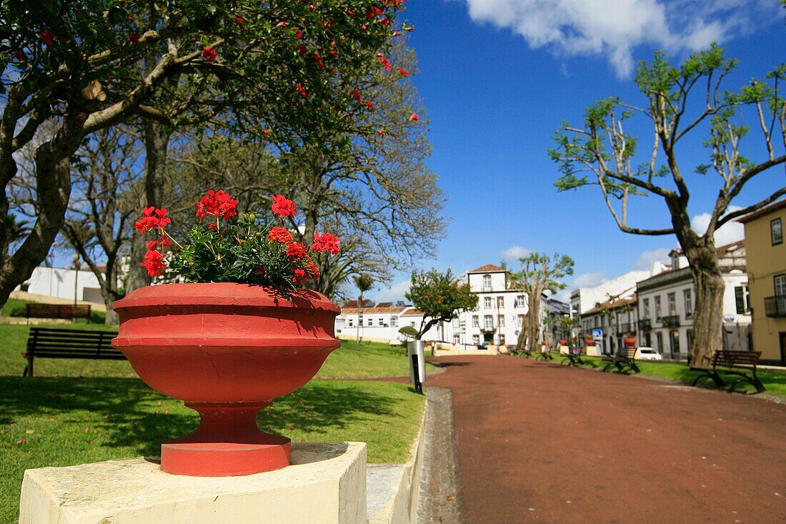 Antero de Quental park, in the city of Ponta Delgada, Azores islands, Portugal