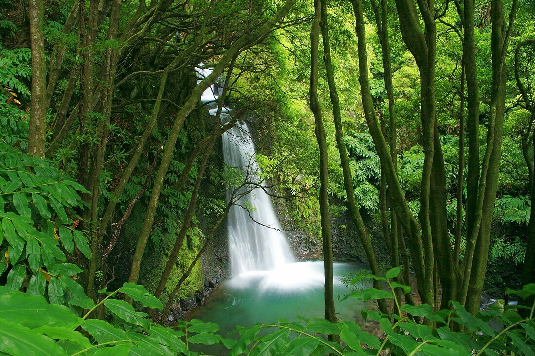 The Salto do Prego waterfall, near the village of Faial da Terra  Azores islands, Portugal
