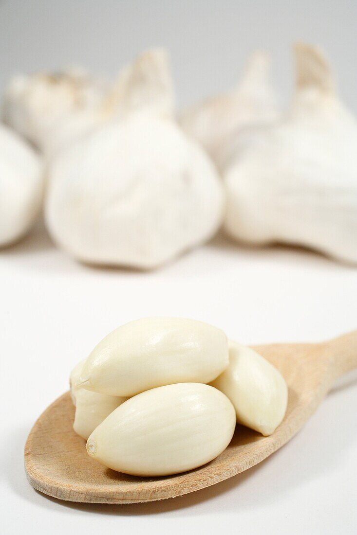 Garlic still life