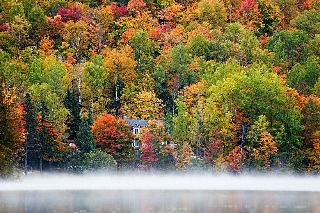 Autumn Scenery in Canada