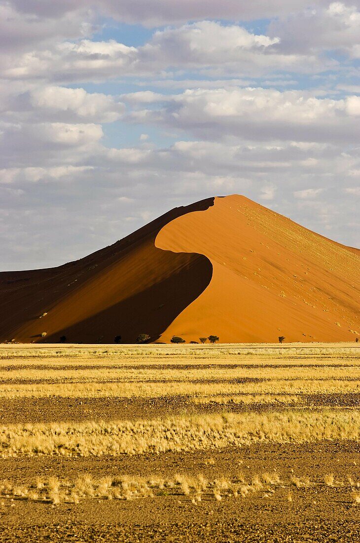 Sand Dune, Namibia