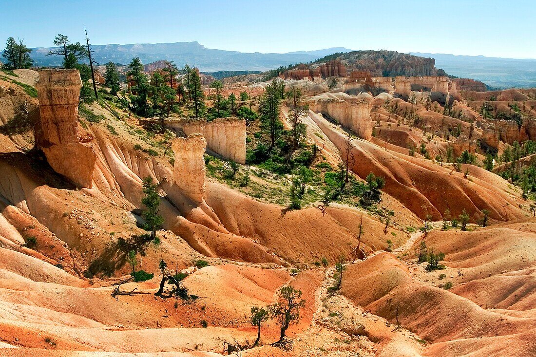 Hills and hoodoos along a hiking trail in Bryce Canyon National Park, Utah