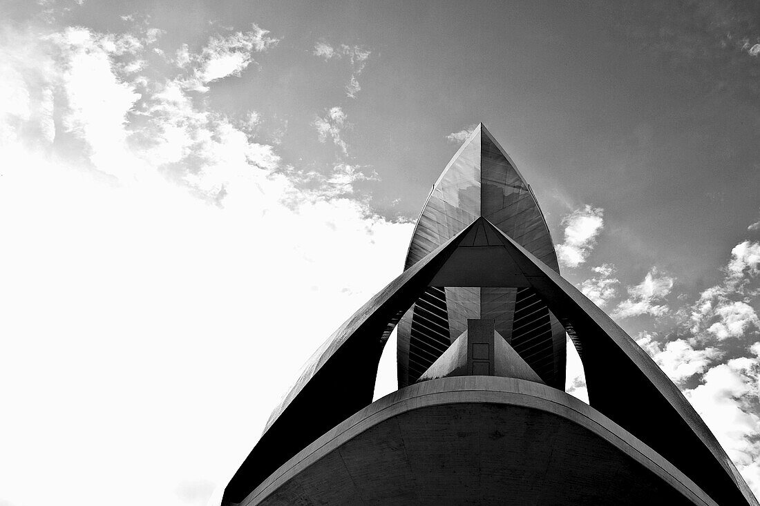 Palacio de las Artes Reina Sofia, City of Arts and Sciences by Santiago Calatrava, Valencia. Comunidad Valenciana, Spain