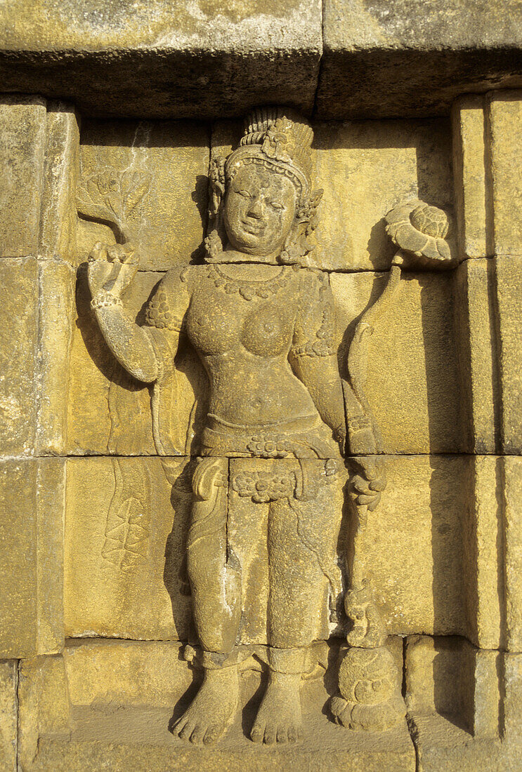 Indonesia, Java, Borobudur, stone wall carvings