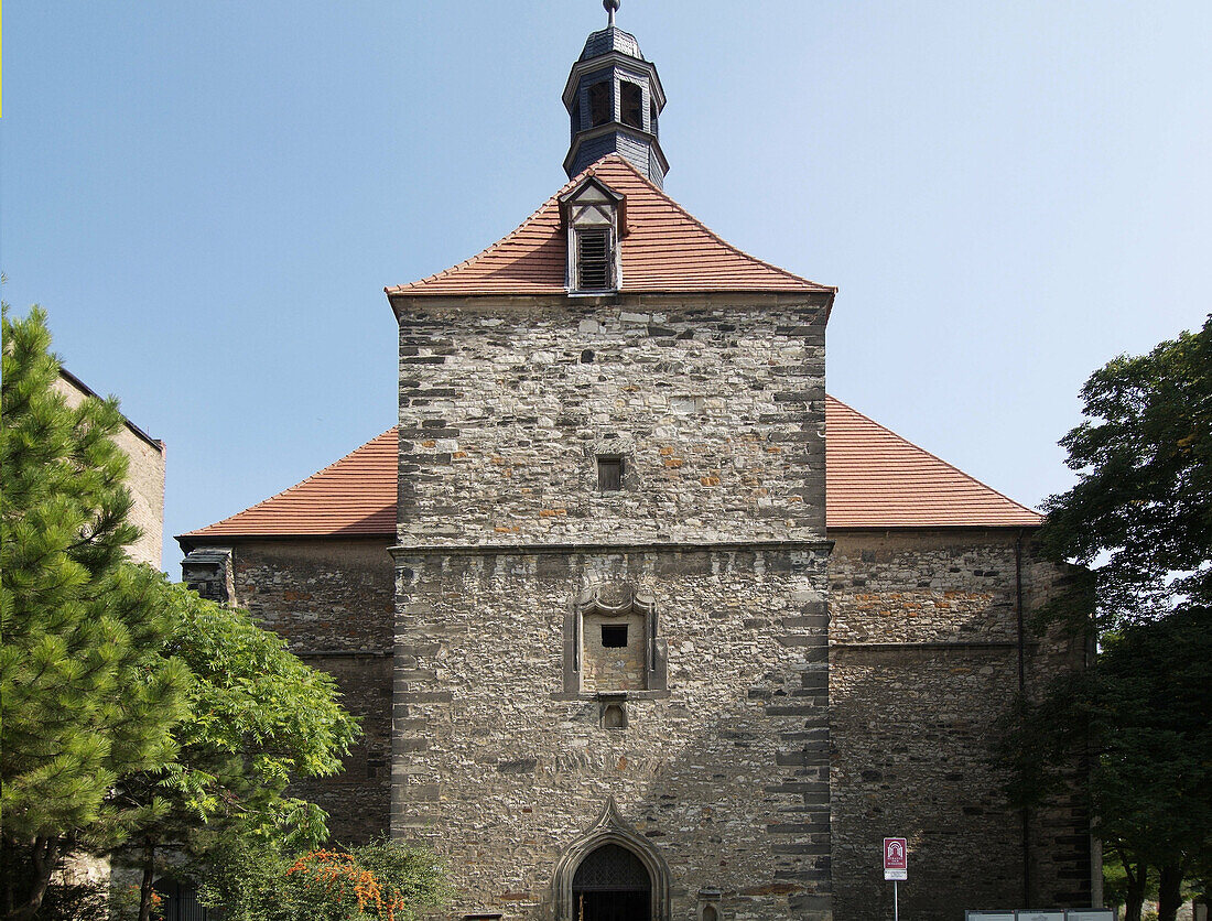 Monastery church Saint Mary and Saint Cyprian, Nienburg, district Salzlandkreis, Saxony-Anhalt, Germany, Europe