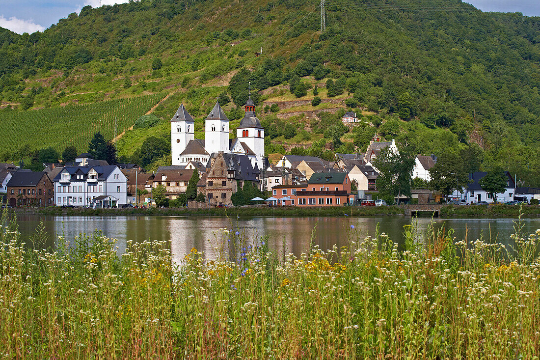 Blick über Mosel auf Stiftskirche St. Castor, Treis-Karden, Rheinland-Pfalz, Deutschland
