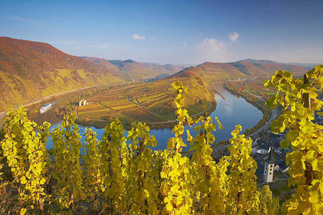 Moselle loop near Bremm, Rhineland-Palatinate, Germany