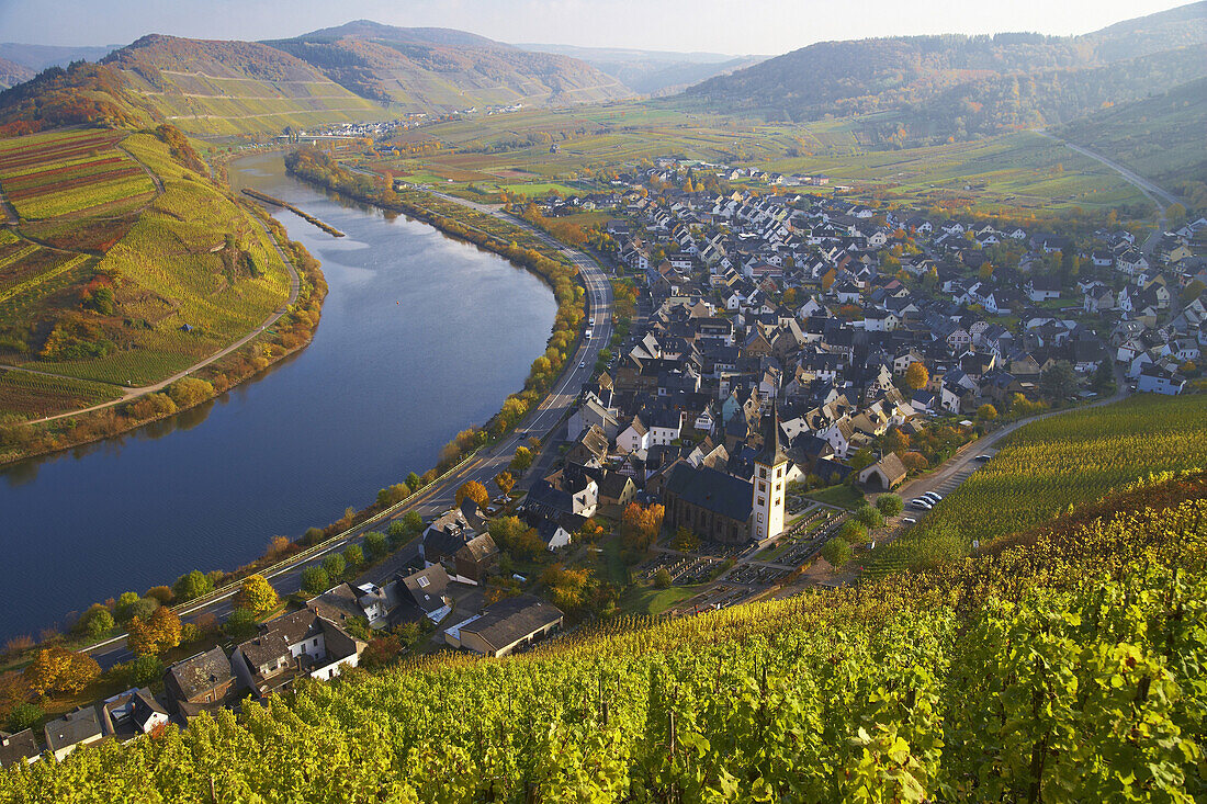 Horse-shoe bend of the river Mosel with Bremm, Wine district, Rhineland-Palatinate, Germany, Europe