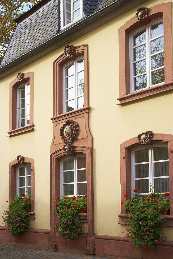 Neumagen-Dhron, Old wine district, Mosel, Rhineland-Palatinate, Germany, Europe