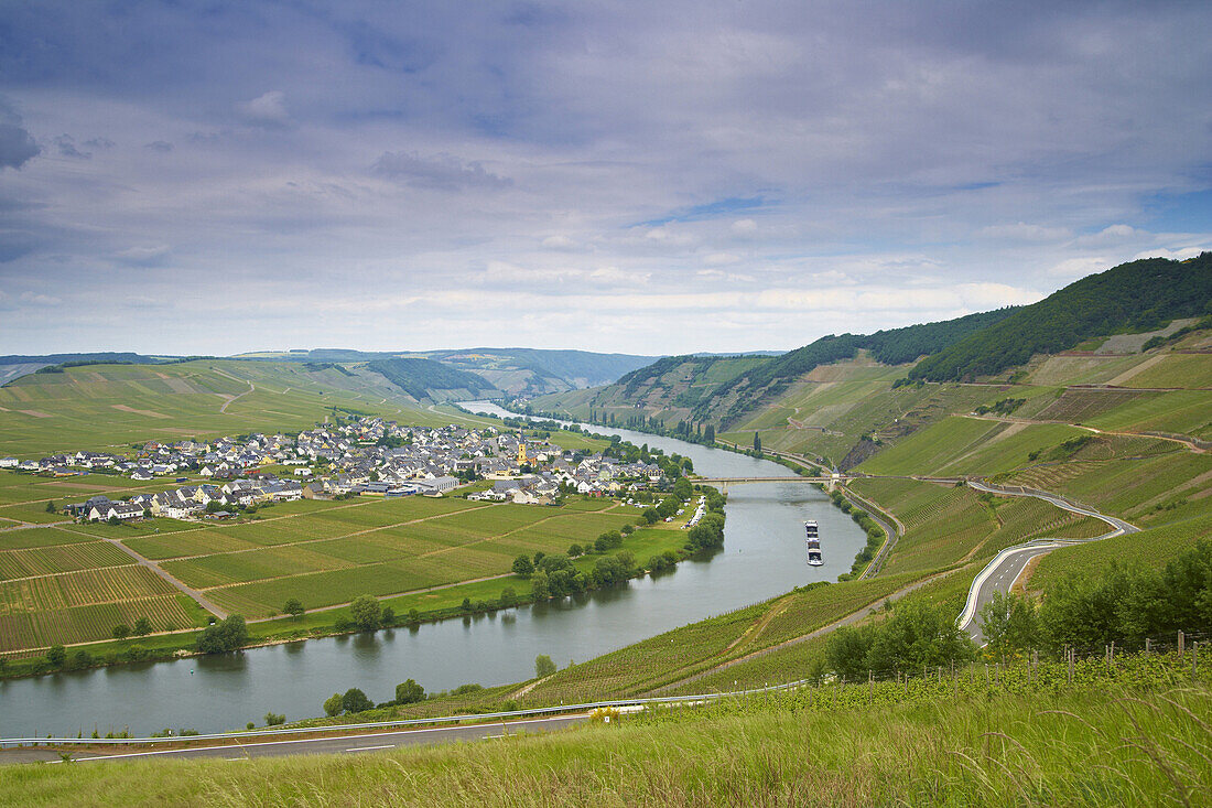 River Mosel with Trittenheim, Wine district, Rhineland-Palatinate, Germany, Europe