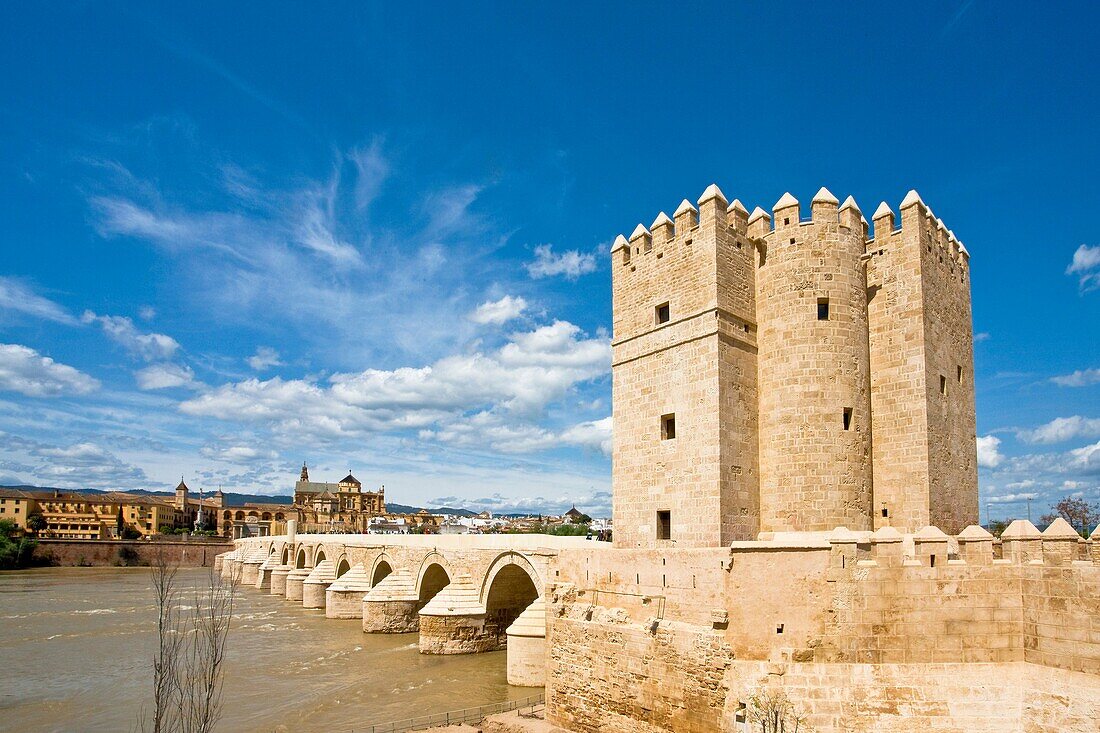Roman Bridge and Calahorra Tower, Cordoba, Andalusia, Spain
