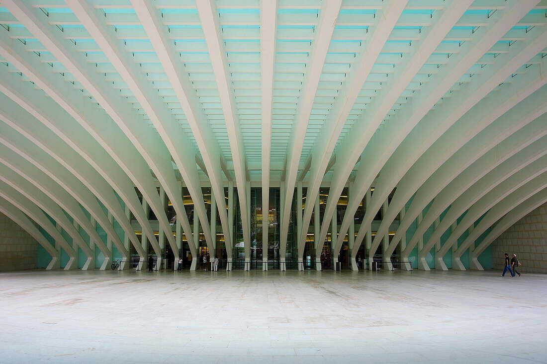 Convention Center designed by architect Santiago Calatrava, Oviedo, Asturias, Spain (September 2009)