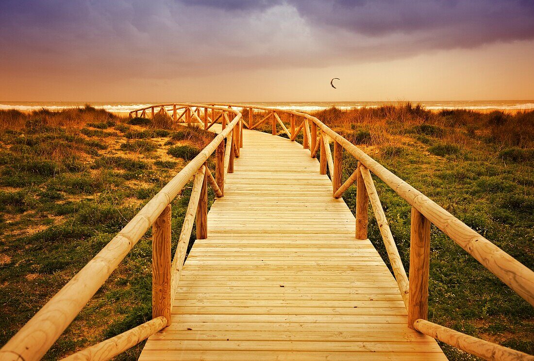 Aussen, Draussen, Holz, Hölzern, Landschaft, Landschaften, Pfad, Strand, Strände, Wald, A75-1073206, agefotostock