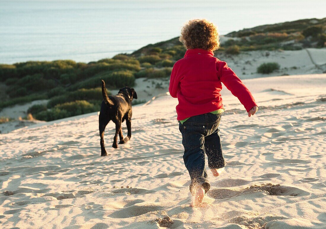 Animal, Boy, Child, Dog, Outdoors, Pet, Run, Running, Sand, A75-1092367, agefotostock