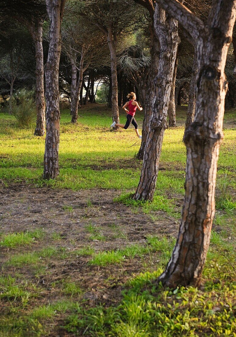 exercise, Female, fit, footing, human, outdoor, running, sport, woman, A75-1139414, AGEFOTOSTOCK