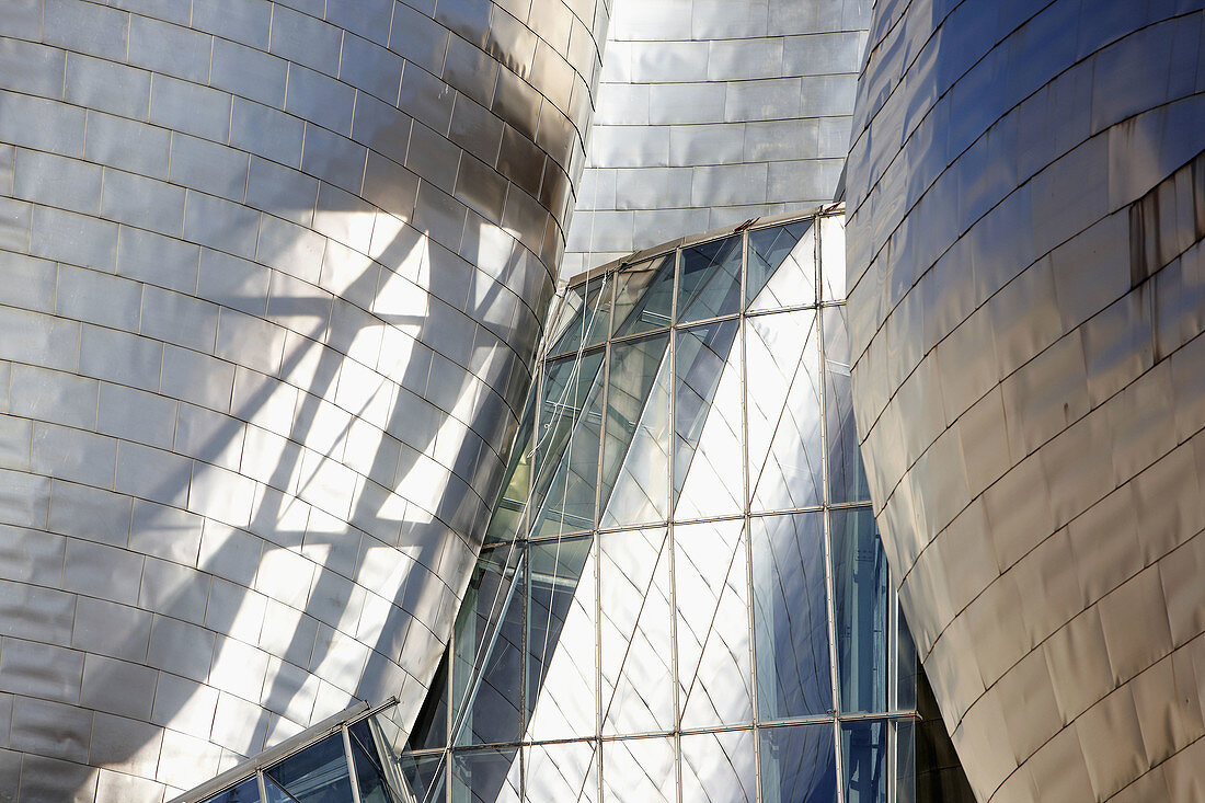 Guggenheim Museum, Bilbao, Biscay, Basque Country, Spain