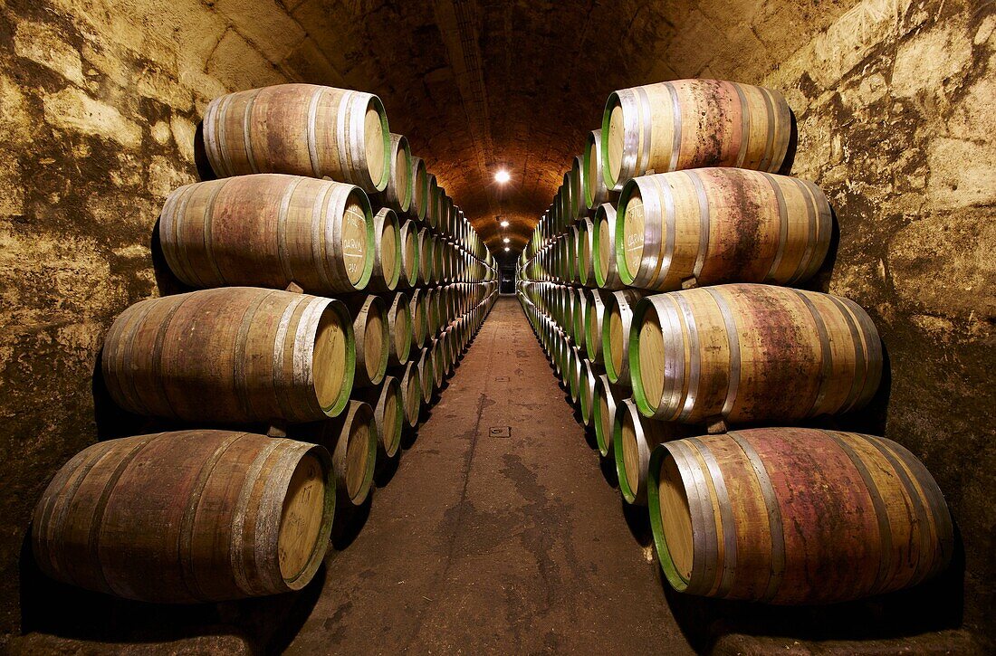 Reserve wine barrels, Marques de Riscal winery, Elciego, Rioja Alavesa, Araba, Euskadi, Spain