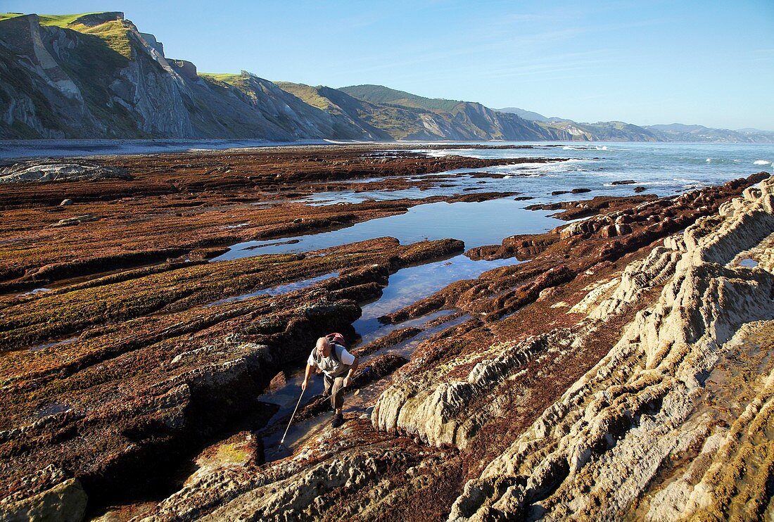 Flysch, Algorri, Zumaia, Gipuzkoa, Euskadi, Spain