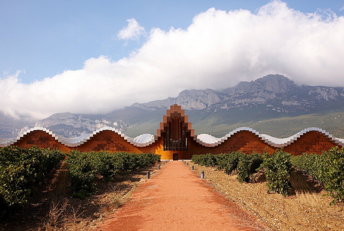 Weinberg und Gebäude der Weinkellerei Ysios, entworfen vom Architekten Santiago Calatrava, Berge der Sierra de Cantabria im Hintergrund, Laguardia, Rioja Alavesa, Araba, Baskenland, Spanien