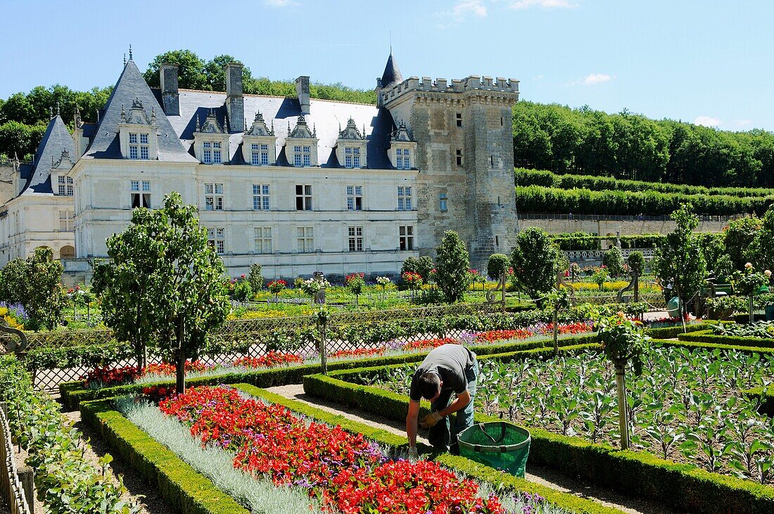 Château de Villandry, Indre-et-Loire, France