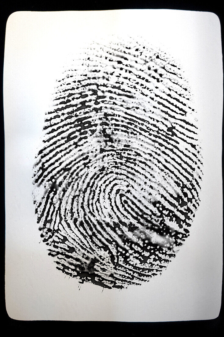 fingerprint