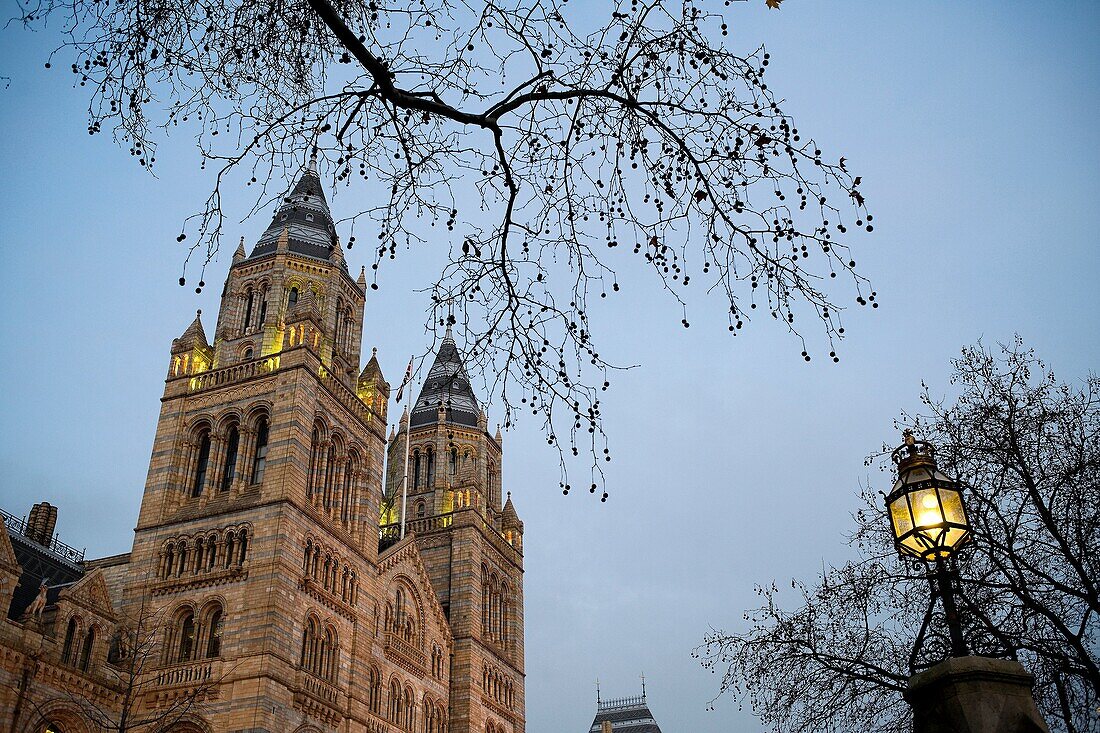 Natural History Museum, London. England, UK