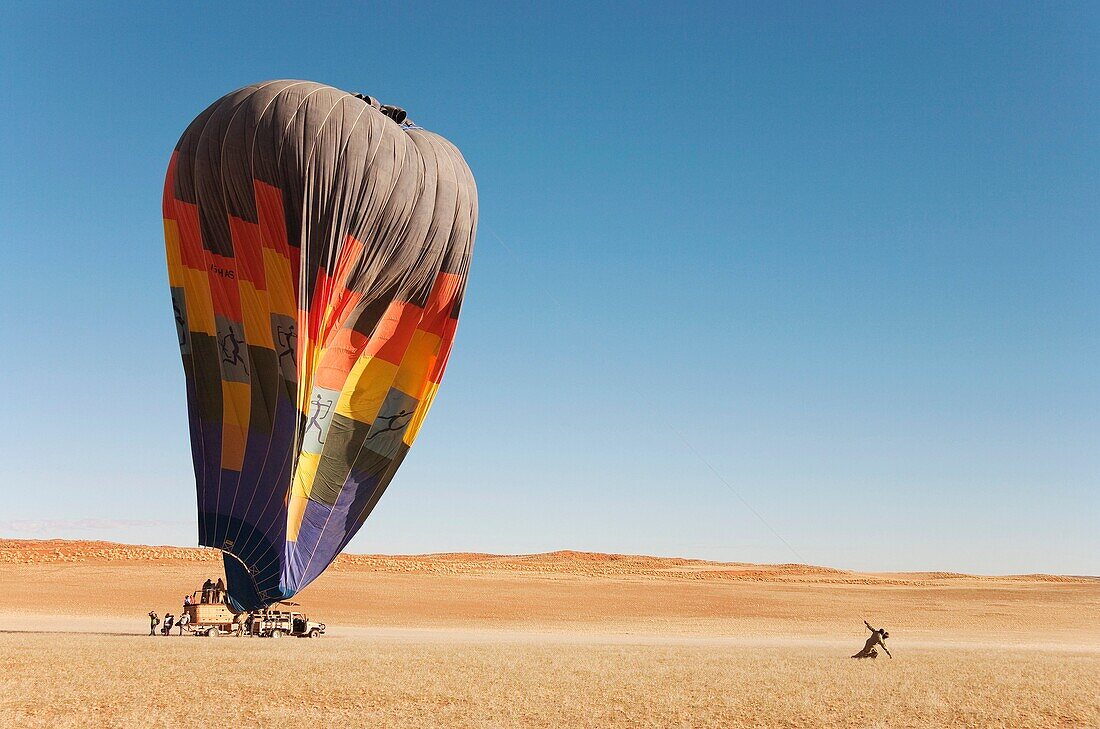 Namibia - After having landed, the ground crew assists the passengers at getting out of the basket of the hot-air balloon while another 2 assistants try to drag the balloon to the ground Namib Desert, NamibRand Nature Reserve, Namibia