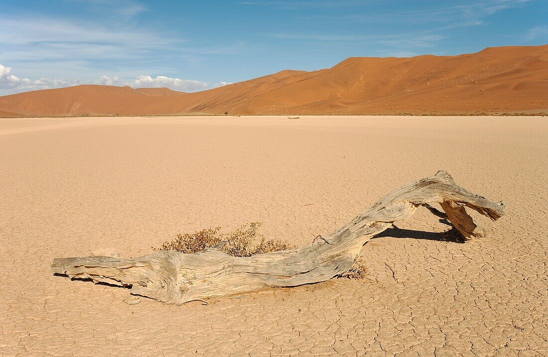 Namibia - Dry pan and sand dunes in the centre of the Namib Desert in the Sossusvlei area Namib-Naukluft Park, Namibia