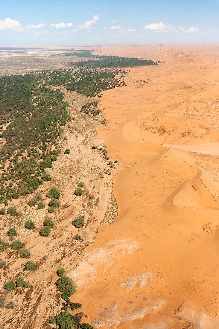Namibia - Aerial view of the dry bed of the Kuiseb river with its green belt at the edge of the Namib Desert Namib-Naukluft Park, Namibia