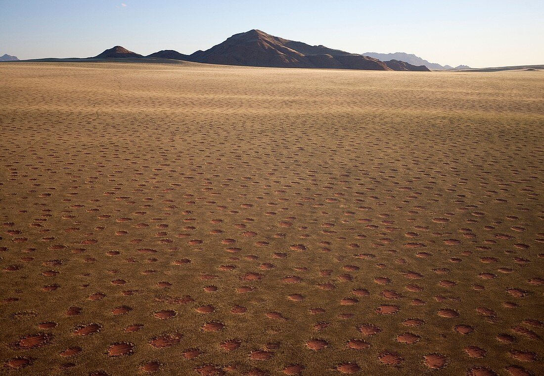 Namibia - Aerial view of grass-grown desert plain and isolated mountain ridges at the edge of the Namib Desert In March during the rainy season with a delicate carpet of green desert grass The so-calledFairy Circles,  are circular patches without any v