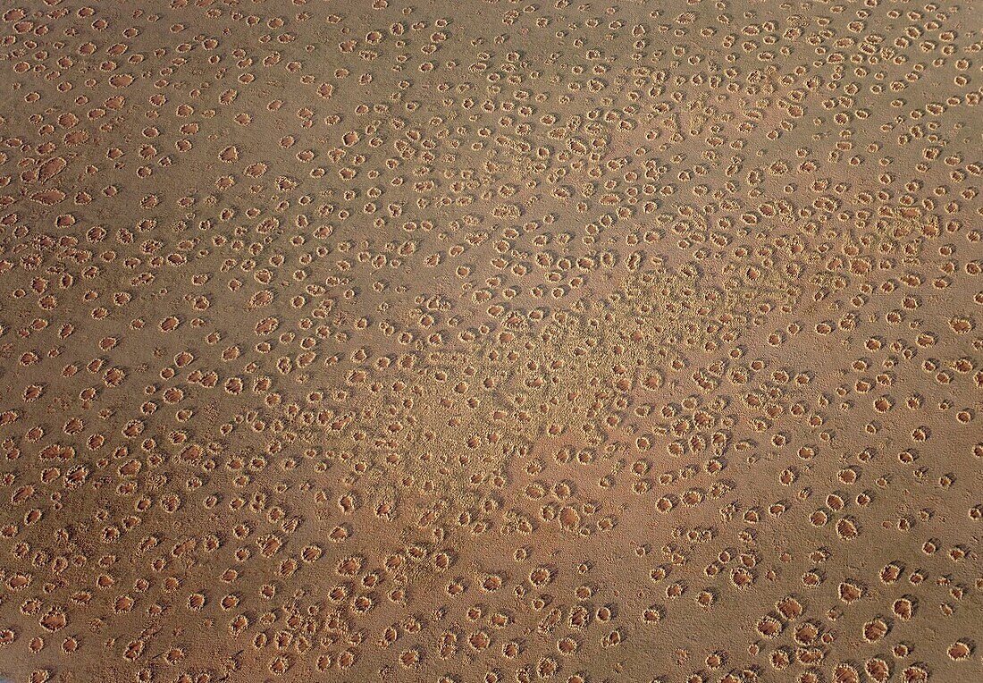 Namibia - Aerial view of the so-calledFairy Circles', which are circular patches without any vegetation which according to recent scientific studies are caused by the Harvester Termite Microhodotermes viator At the edge of the Namib Desert NamibRand N