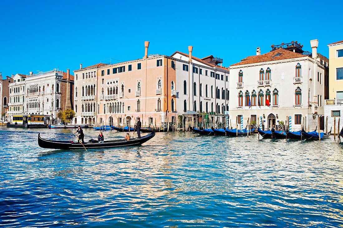Grand Canal. Venice. Veneto. Italy.