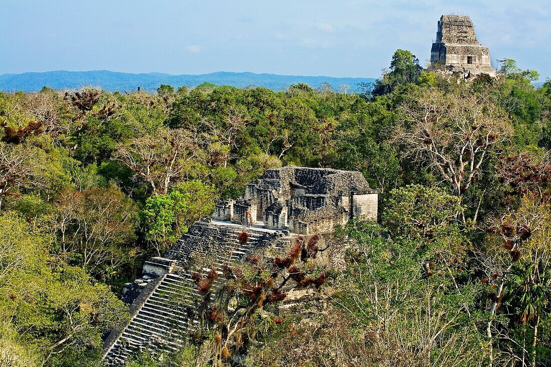 Lost World Temple on the foreground and temple IV on the background. Mayan ruins of Tikal. Guatemala.