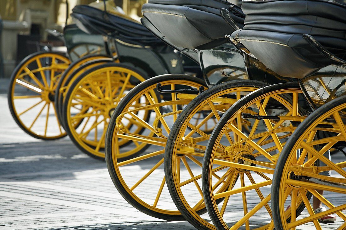 Carriages, Seville. Andalusia, Spain
