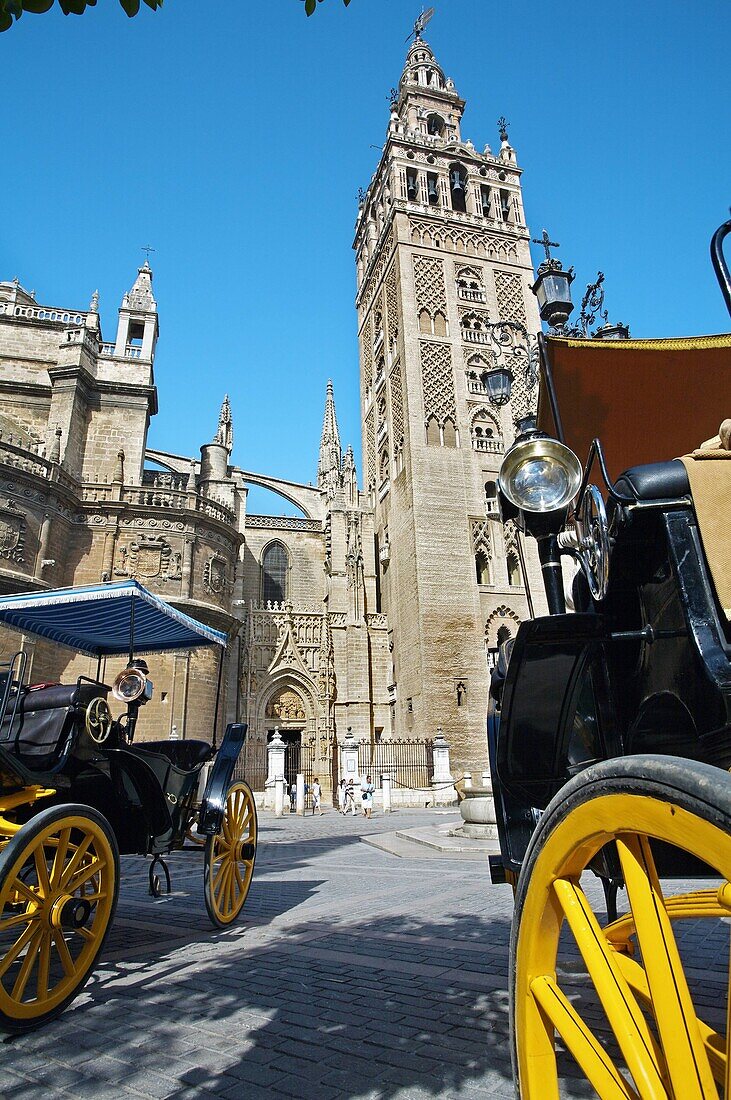 Giralda tower, Seville. Andalusia, Spain