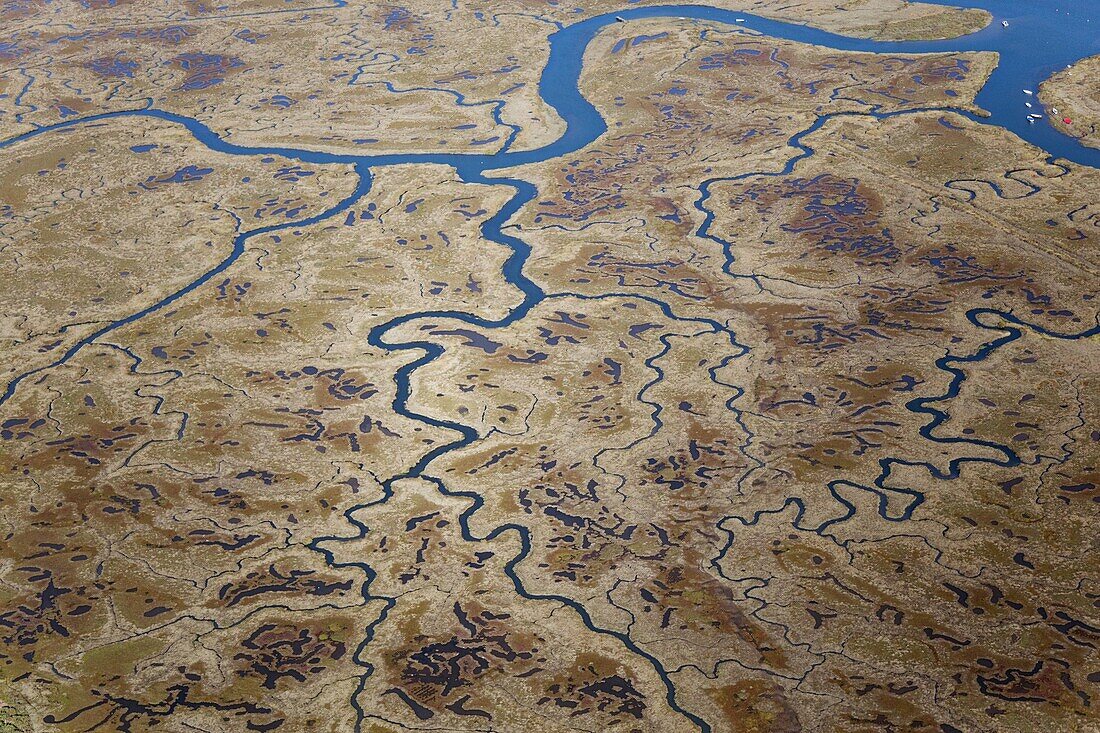 Wareham Saltmarshes Norfolk UK September