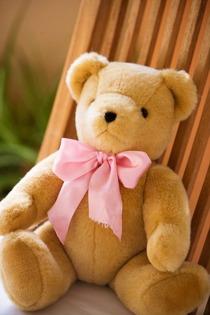 bow, bowknot, chair, childhood, Close-up, Color image, concept, contemporary, day, infancy, innocence, innocent, knot, object, one, One item, outdoor, pink, Single item, soft, still life, teddy-bear, thing, toy, vertical, D37-1135924, AGEFOTOSTOCK