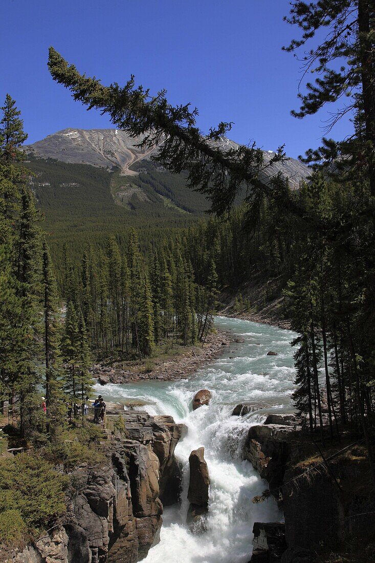 Canada, Alberta, Jasper National Park, Sunwapta River Falls