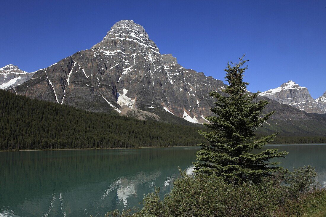Canada, Alberta, Banff National Park, Mount Chephren, Waterfowl Lake